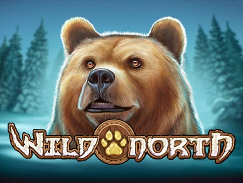 Wild North game thumbnail